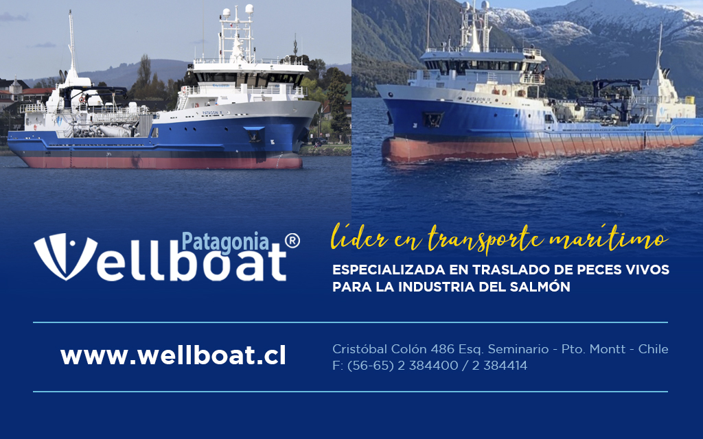 https://www.wellboat.cl/
